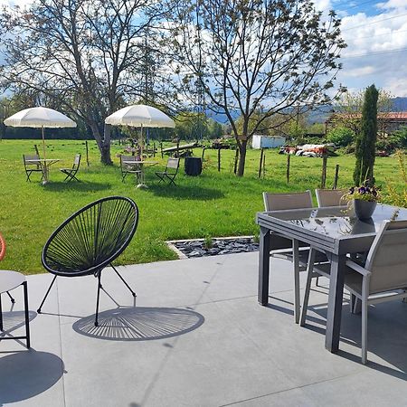 Chez " Les Ligibell " Bed & Breakfast Wintzenheim Ngoại thất bức ảnh