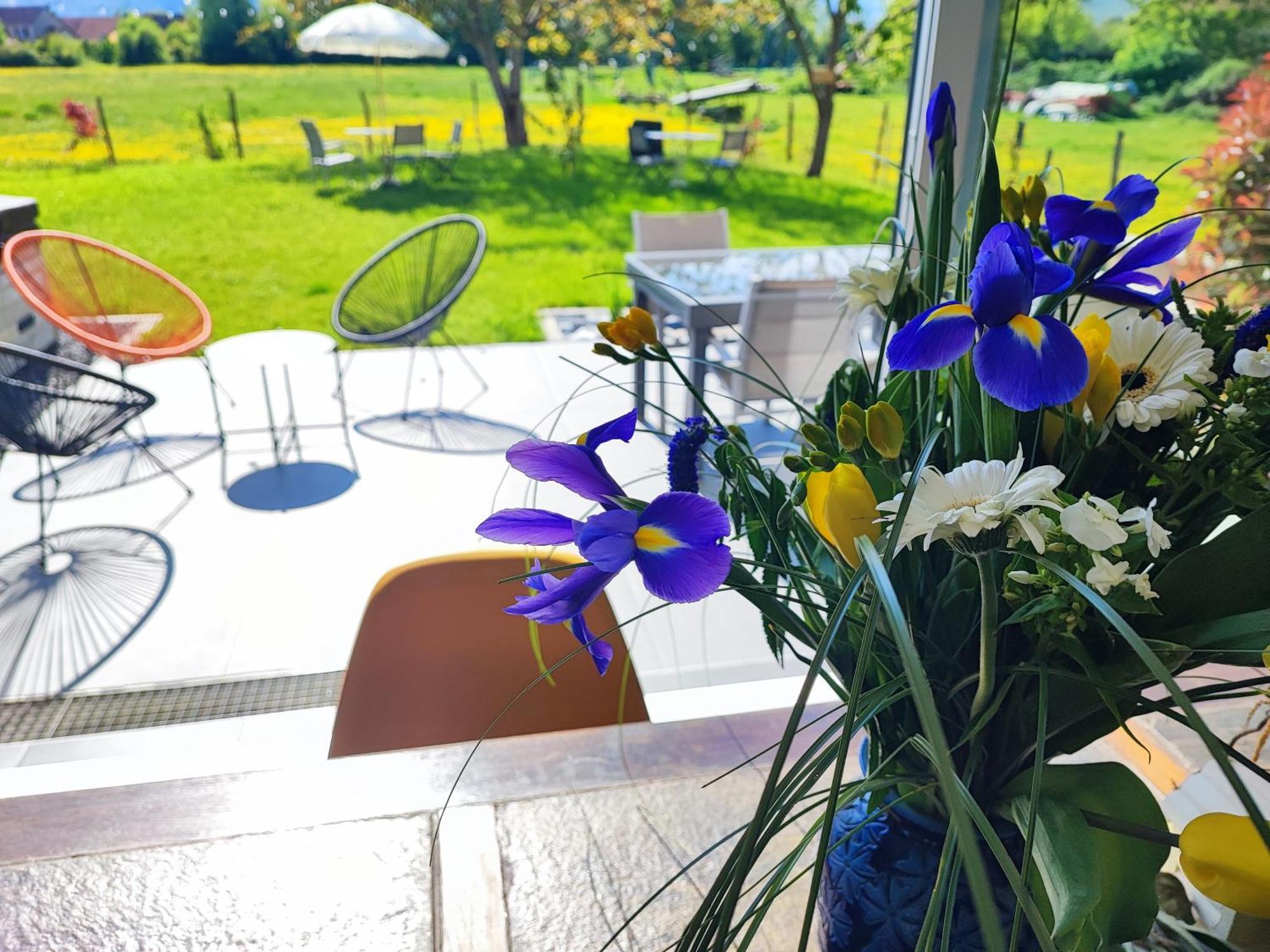 Chez " Les Ligibell " Bed & Breakfast Wintzenheim Ngoại thất bức ảnh